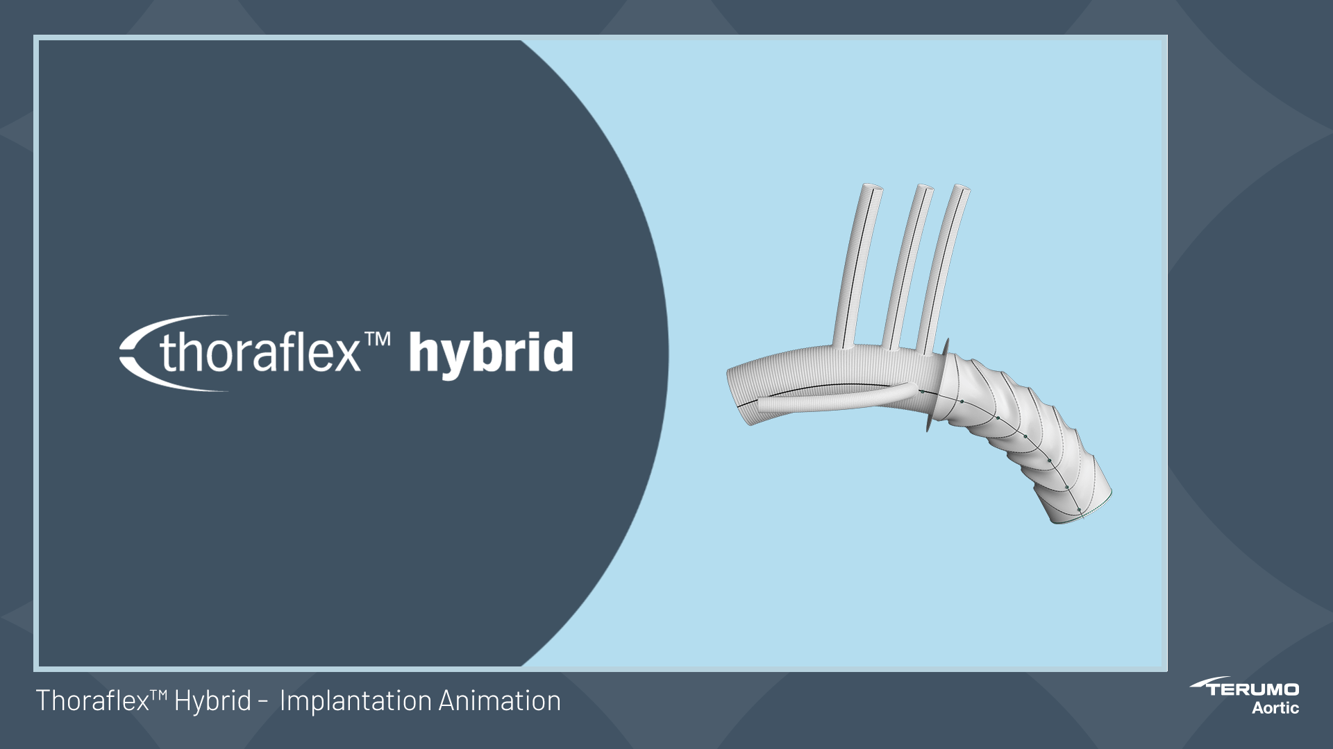 Thoraflex Hybrid Deployment Animation Terumo Aortic