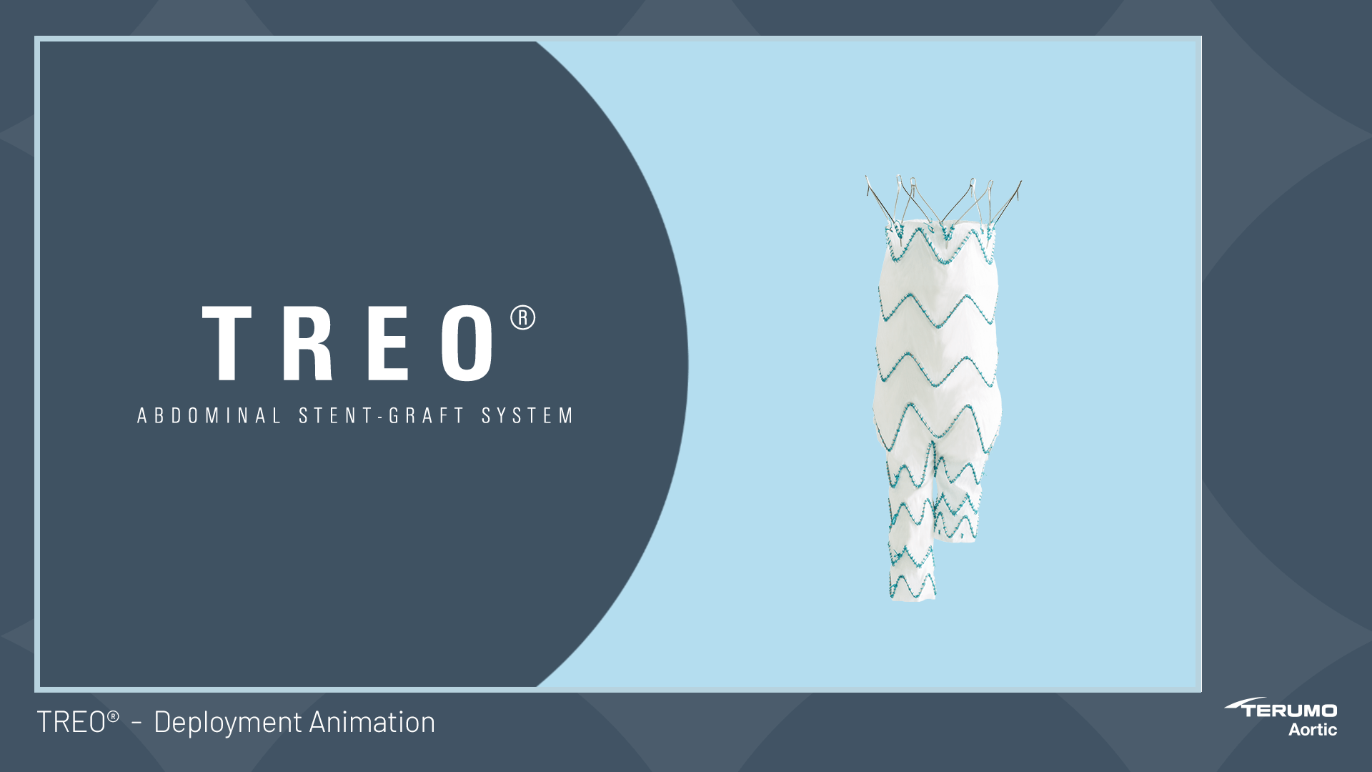 TREO Deployment Animation Terumo Aortic