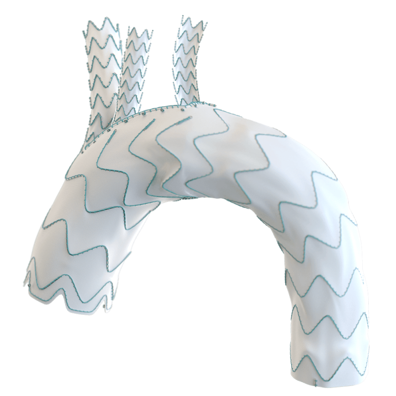 Relay®Branch Terumo Aortic